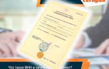 ИНН за 1 день