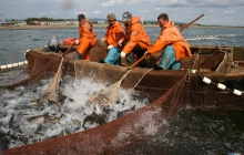 Предоставление водных ресурсов
